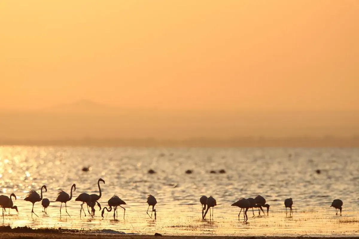 lake-manyara.webp
